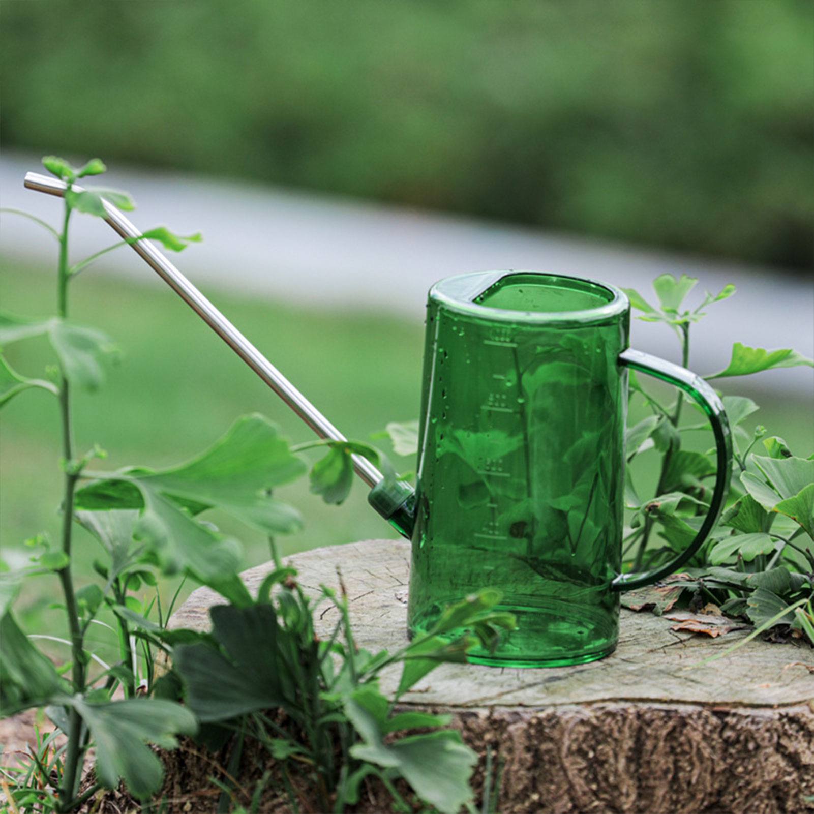 Watering Can Long Spout - 1L/1.5L Indoor Plants Watering Can Transparent