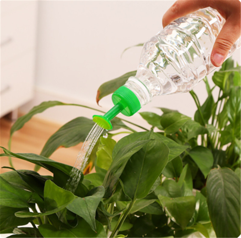 Gardening Tools For Sale - Nhựa Bền Vật Có Hoa Lon
