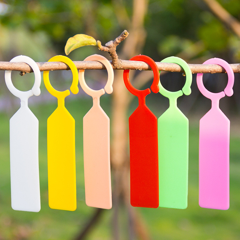Plant Label Tags - Bộ 50 Chống Nước Vật Có