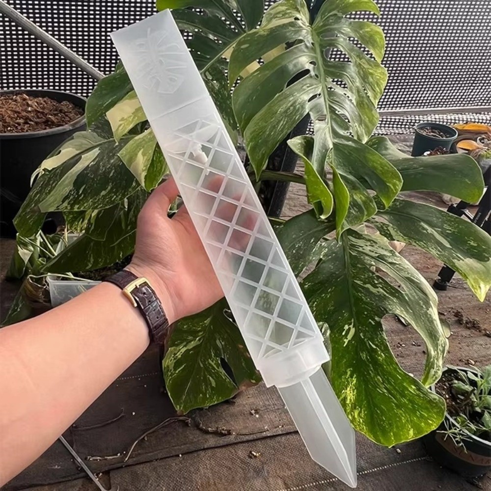 Automatic Plant Waterer - D-Shaped Self-Watering Plant Drip Adjustable Flow