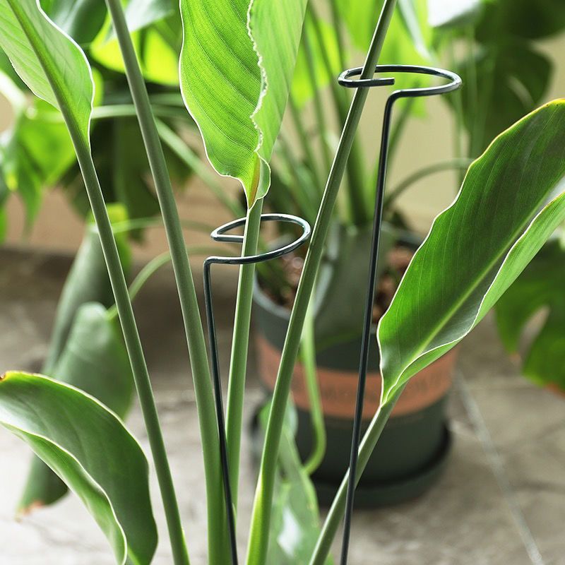 1/10pcs Garden Support Stake R - đánh giá và giá Gardening Tools Hoe