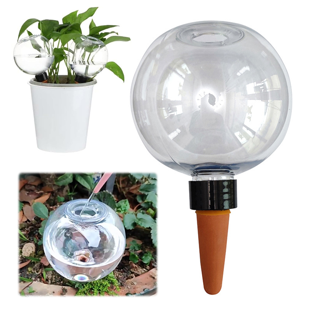 500ML Self Watering Globes Dri - đánh giá và giá Automatic Plant Waterer