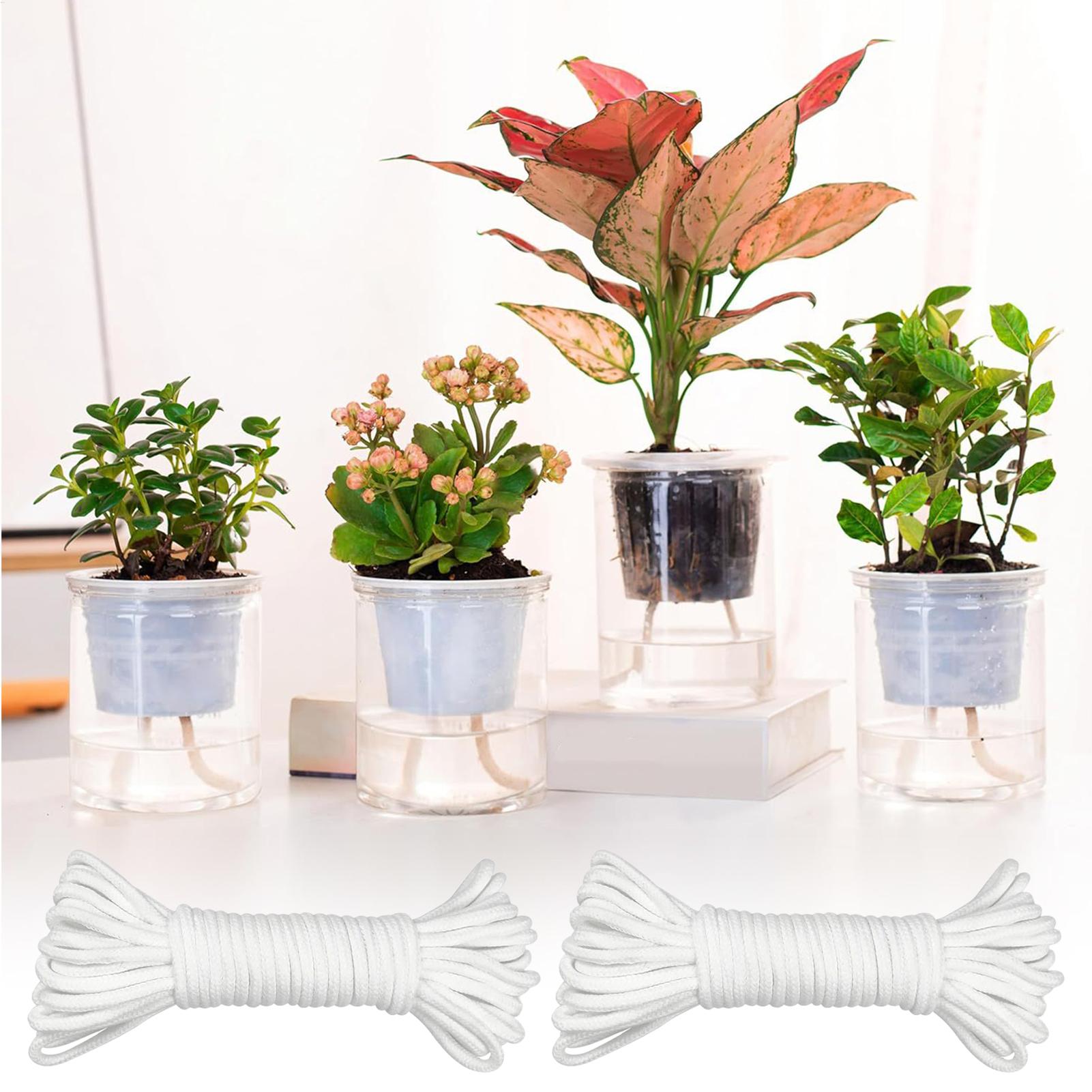 Plant Wicks For Self Watering  - đánh giá và giá Automatic Plant Waterer