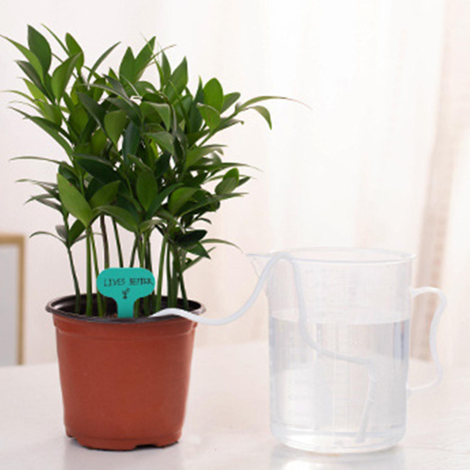 Plant Wicks For Self Watering  - đánh giá và giá Automatic Plant Waterer