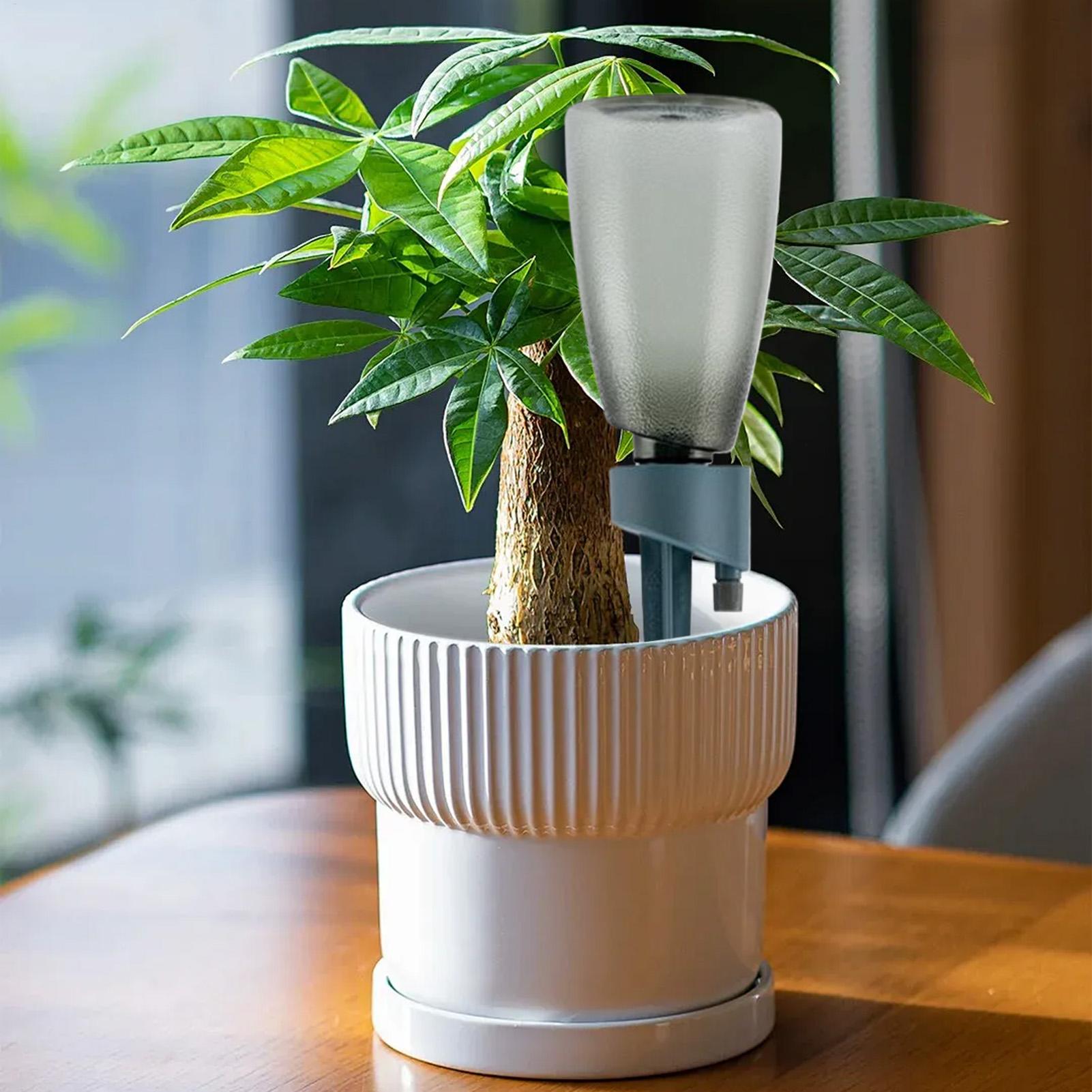 6pcs Automatic Waterer Househo - đánh giá và giá Root Watering Spike