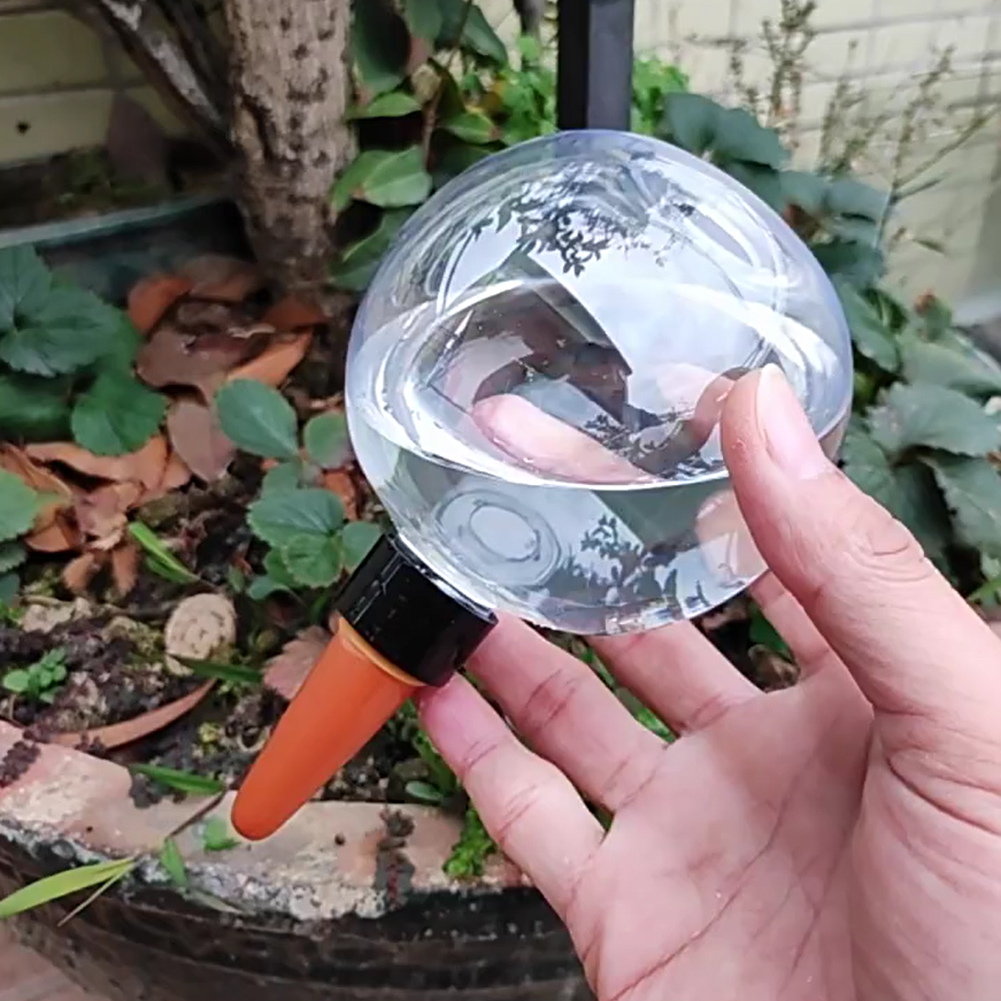 500ML Self Watering Globes Dri - đánh giá và giá Automatic Plant Waterer
