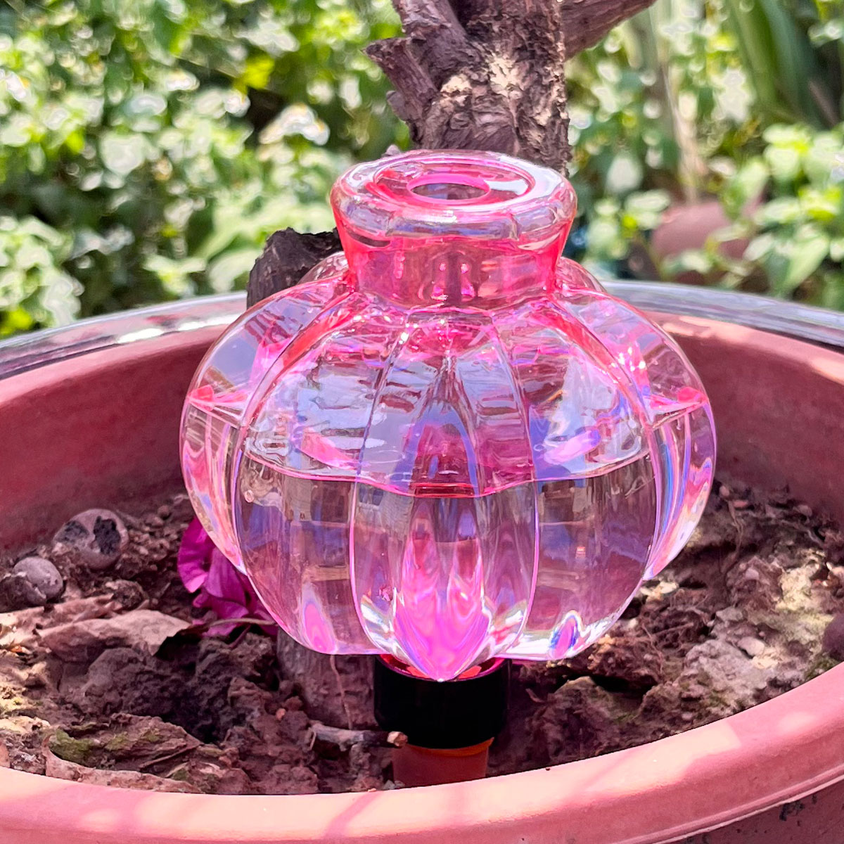 2pcs Self Watering Drip Irriga - đánh giá và giá Automatic Plant Waterer