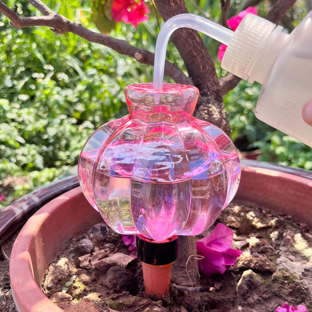 2pcs Self Watering Drip Irriga - đánh giá và giá Automatic Plant Waterer