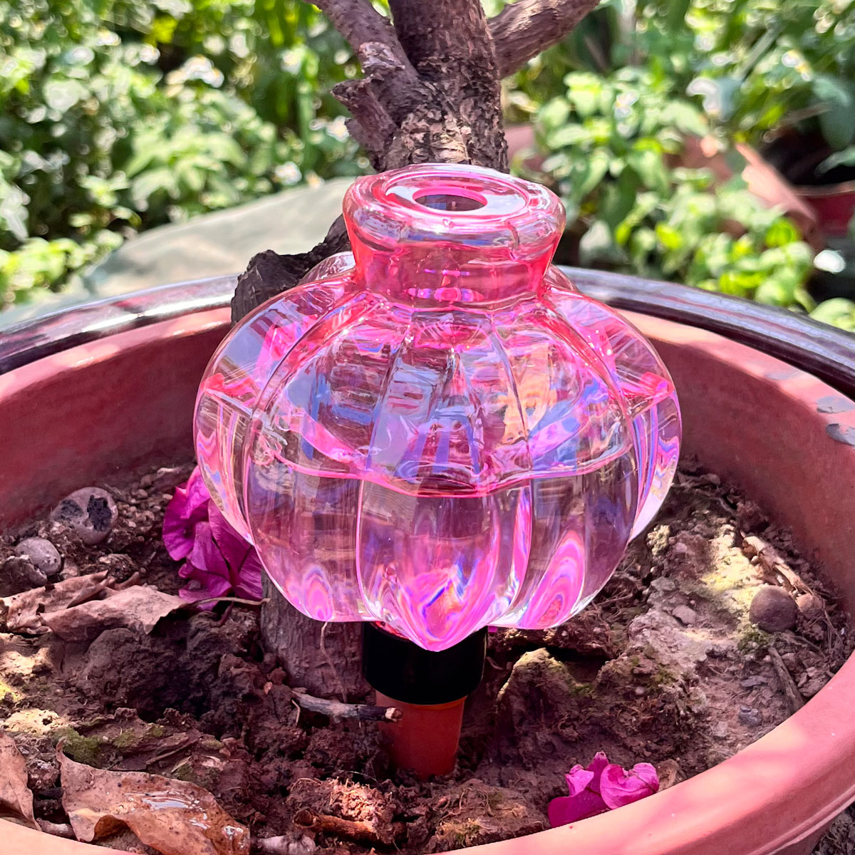 2pcs Self Watering Drip Irriga - đánh giá và giá Automatic Plant Waterer