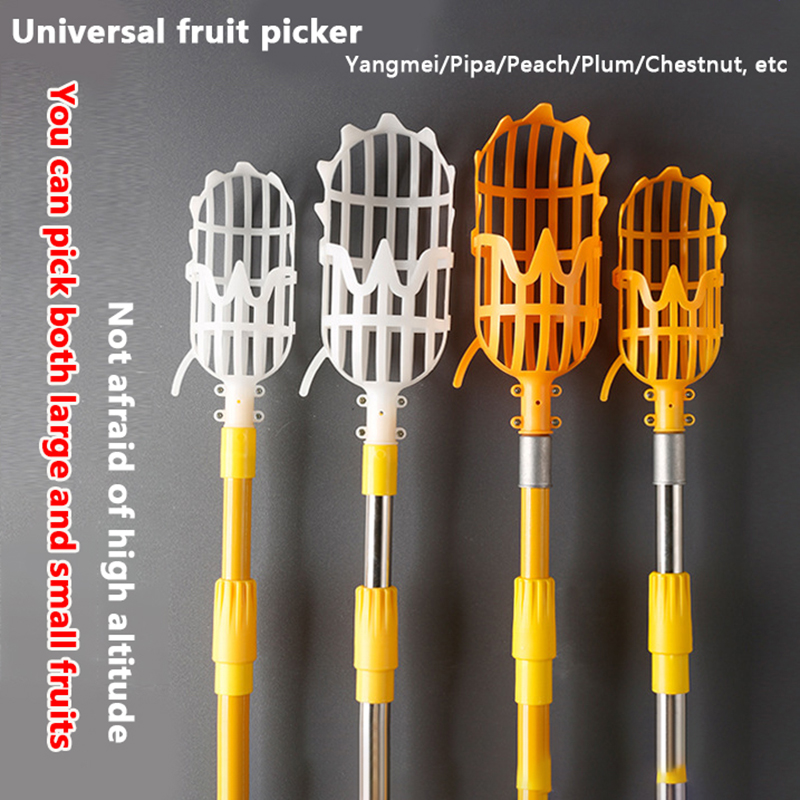 Picking Loquat Picking Bayberr - đánh giá và giá Gardening Tools Rack
