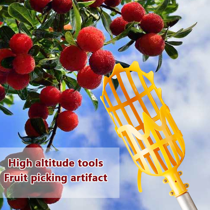 Picking Loquat Picking Bayberr - đánh giá và giá Gardening Tools Rack