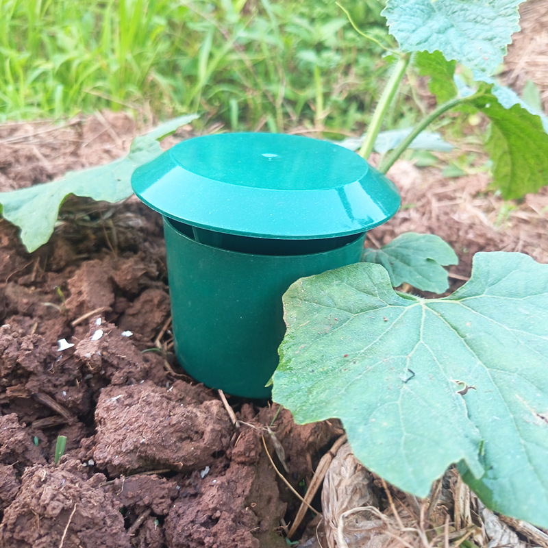 10/1PCS Snail Traps Catcher Ga - đánh giá và giá Gardening Tools Toolstation