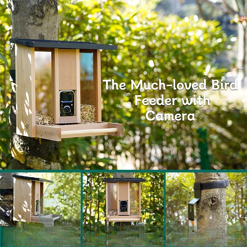 AI intelligent bird feeder wit - đánh giá và giá Gardening Tools With Definition