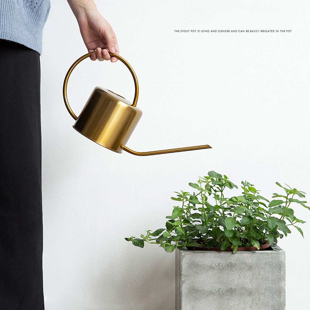 u High Quality 1.3L Plant Spri - đánh giá và giá Watering Can Long Spout