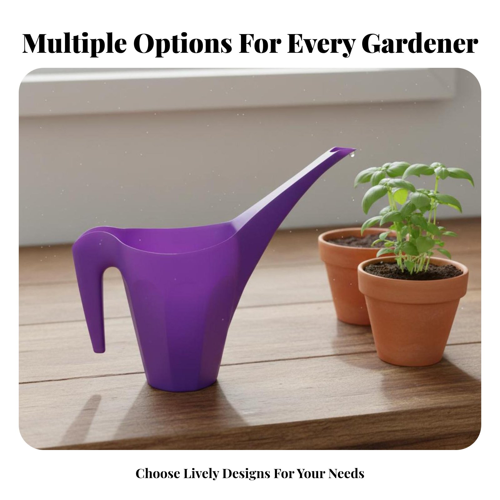 Plastic Watering Can with Spri - đánh giá và giá Watering Can Long Spout