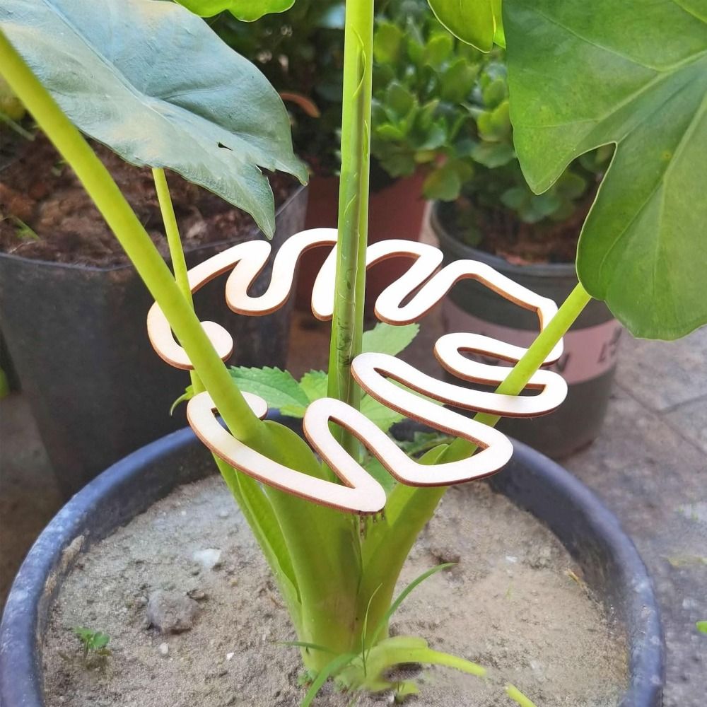 1/2PCS Reusable Turtle Shell B - đánh giá và giá Gardening Tools Hoe