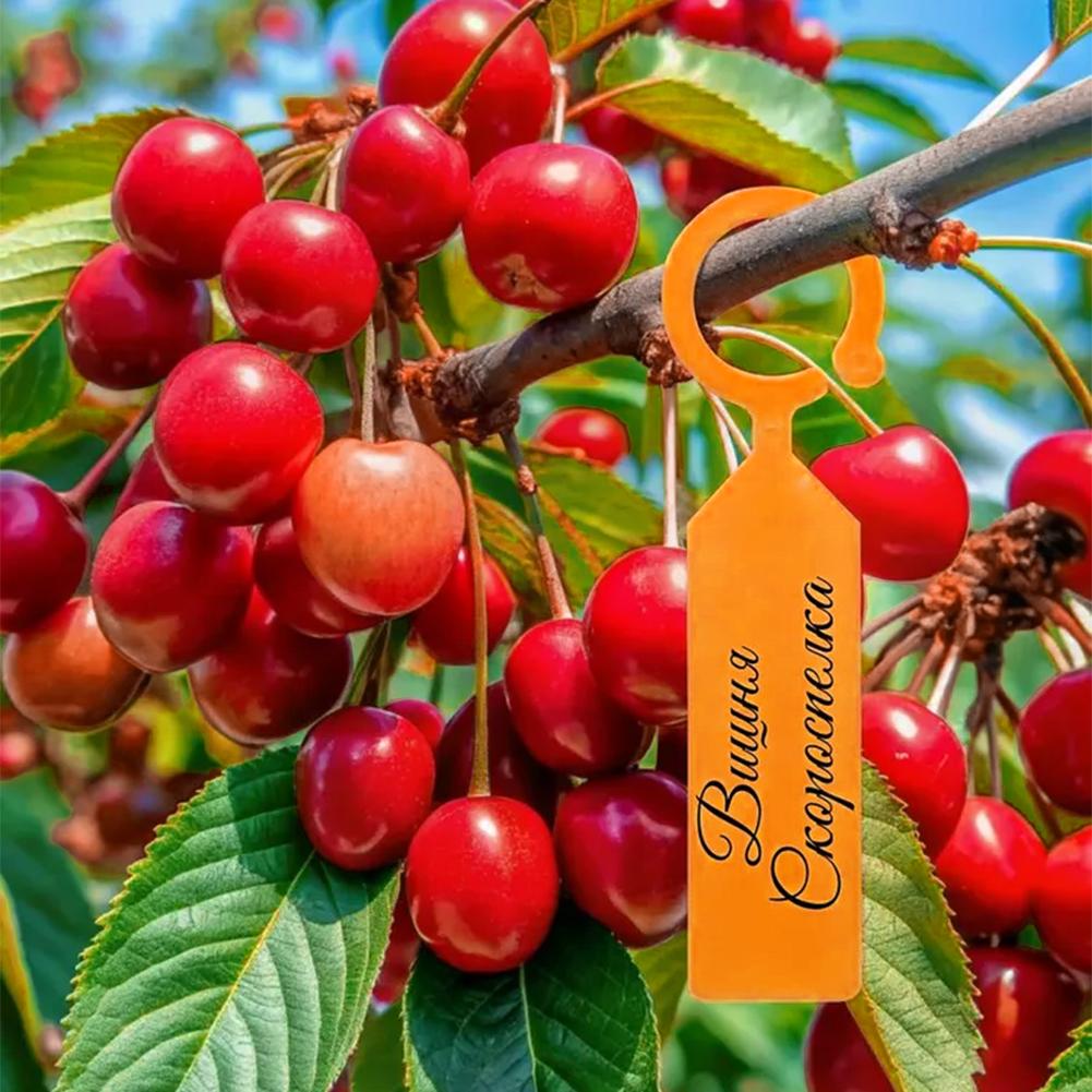 Garden Planting Tag Ring Hook  - đánh giá và giá Plant Label Tags