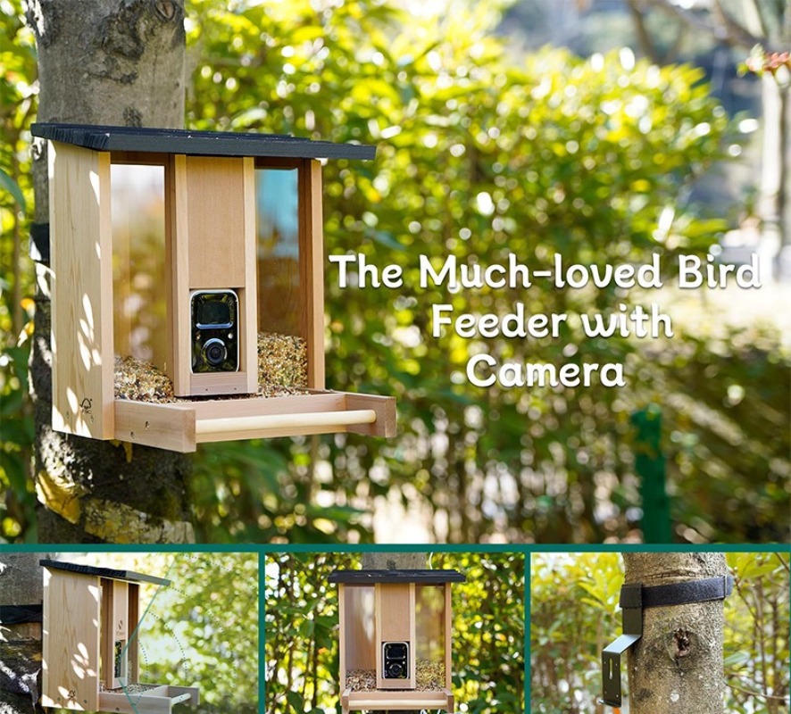 AI intelligent bird feeder wit - đánh giá và giá Gardening Tools With Definition