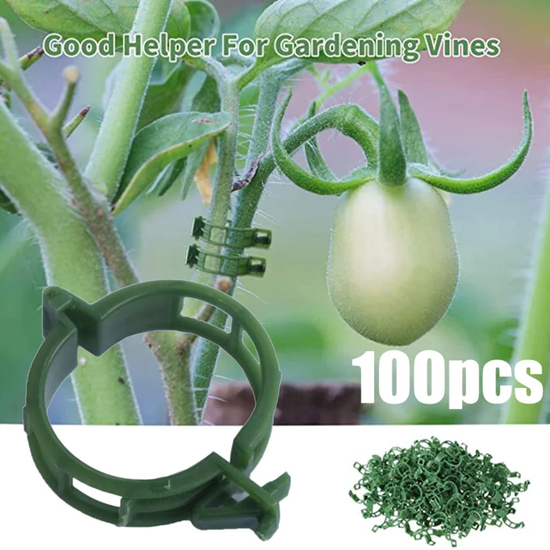 100 PCS/ Plant Support Clip Pl - đánh giá và giá Gardening Tools Hoe