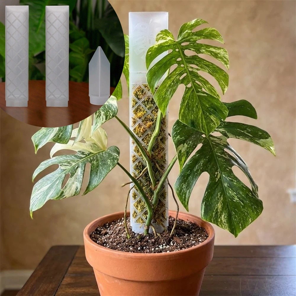 D-Shaped Self-Watering Plant D - đánh giá và giá Automatic Plant Waterer