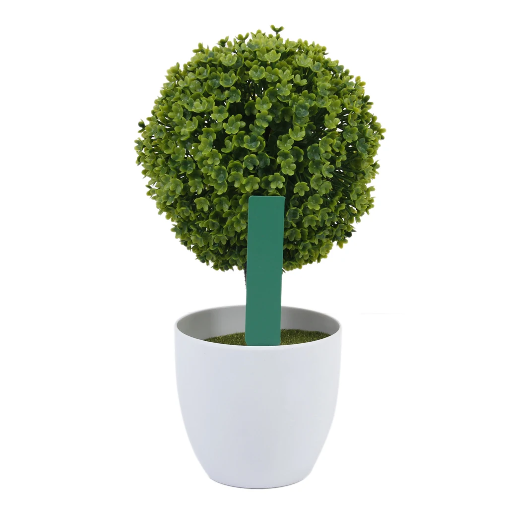 100 Chiếc Dày 4Inch Vật Có Nhã - đánh giá và giá Plant Label Tags
