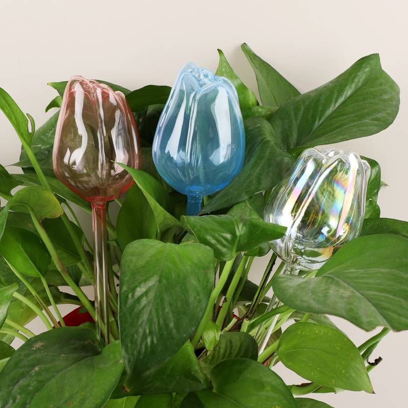 1 pc Glass Plant Waterer, Auto - đánh giá và giá Automatic Plant Waterer