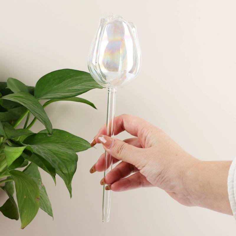 1 pc Glass Plant Waterer, Auto - đánh giá và giá Automatic Plant Waterer