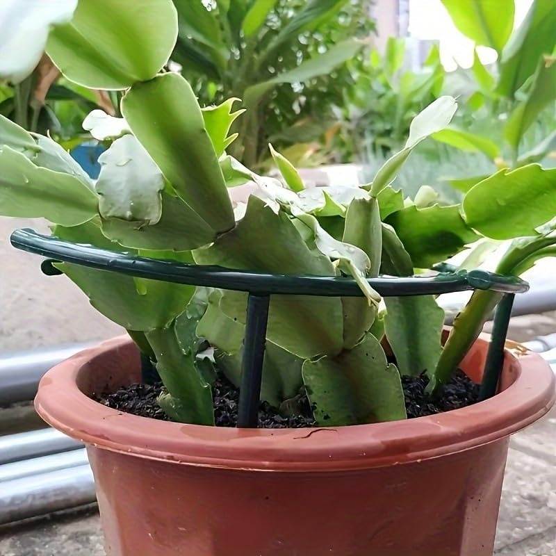 30-1PCS Plastic Plant Support  - đánh giá và giá Gardening Tools Hoe