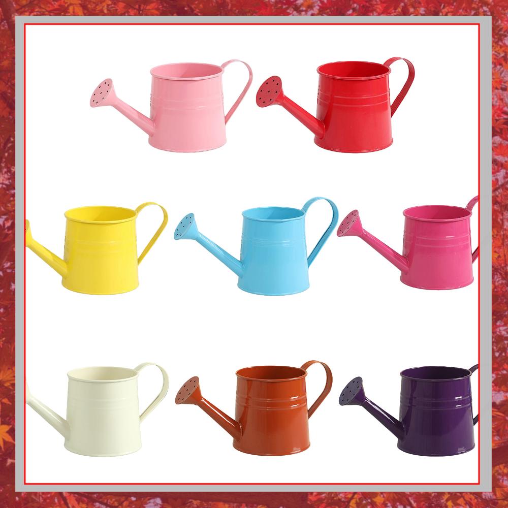 Flower Long Spout Water Can fo - đánh giá và giá Watering Can Long Spout