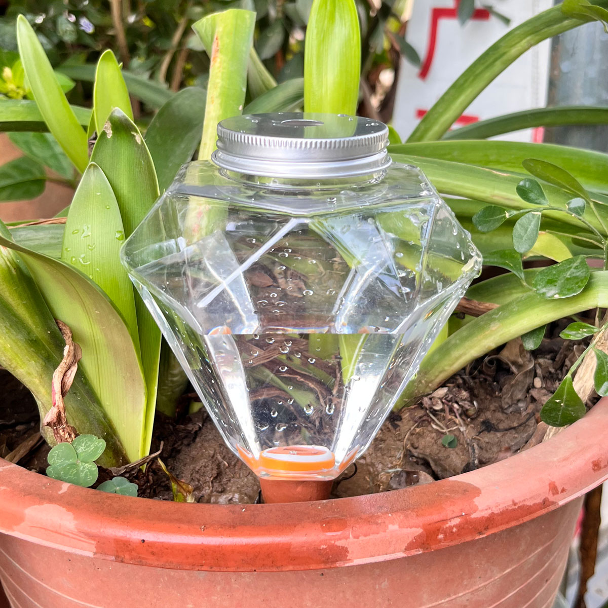 1pcs Cute Plastic Watering Mac - đánh giá và giá Automatic Plant Waterer
