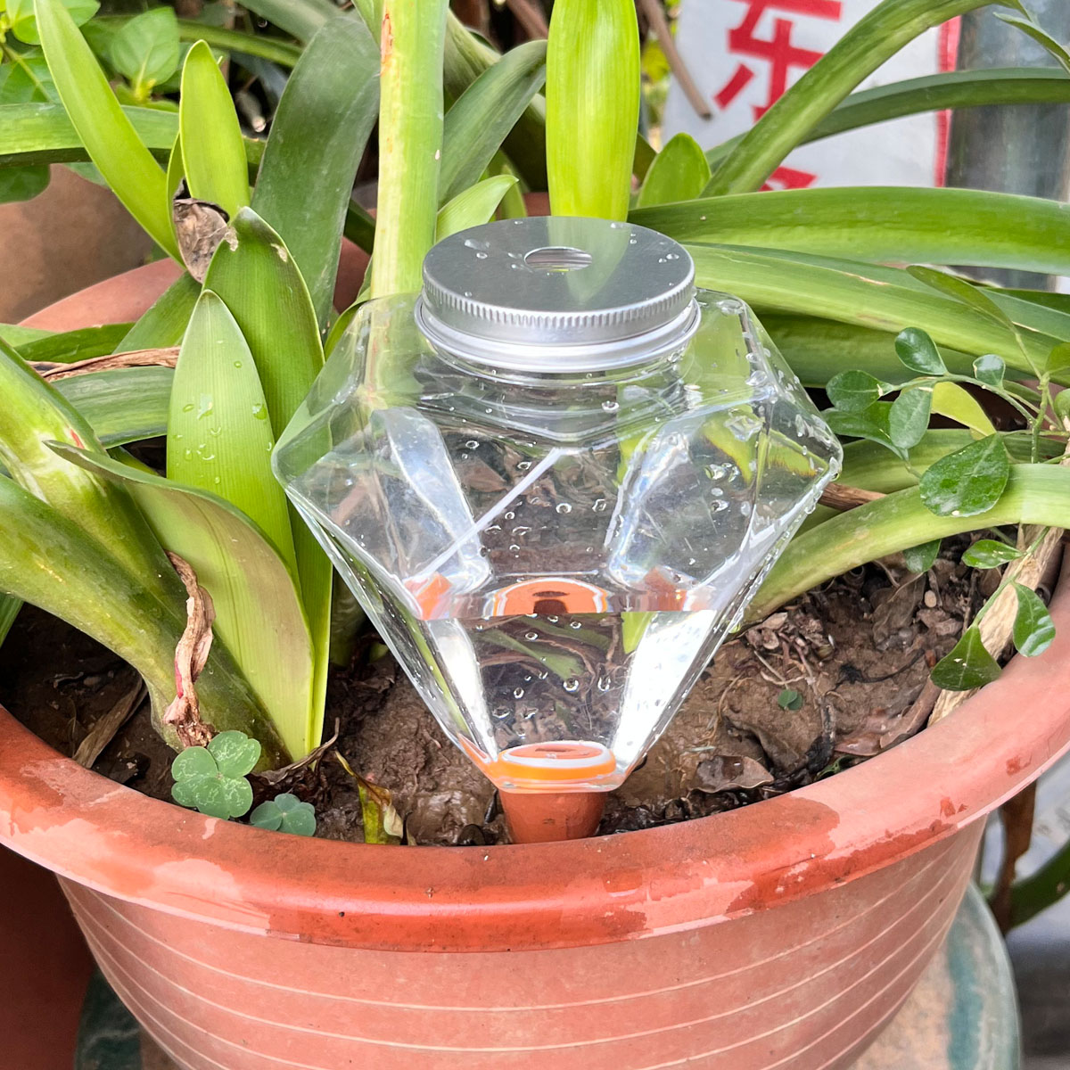 1pcs Cute Plastic Watering Mac - đánh giá và giá Automatic Plant Waterer