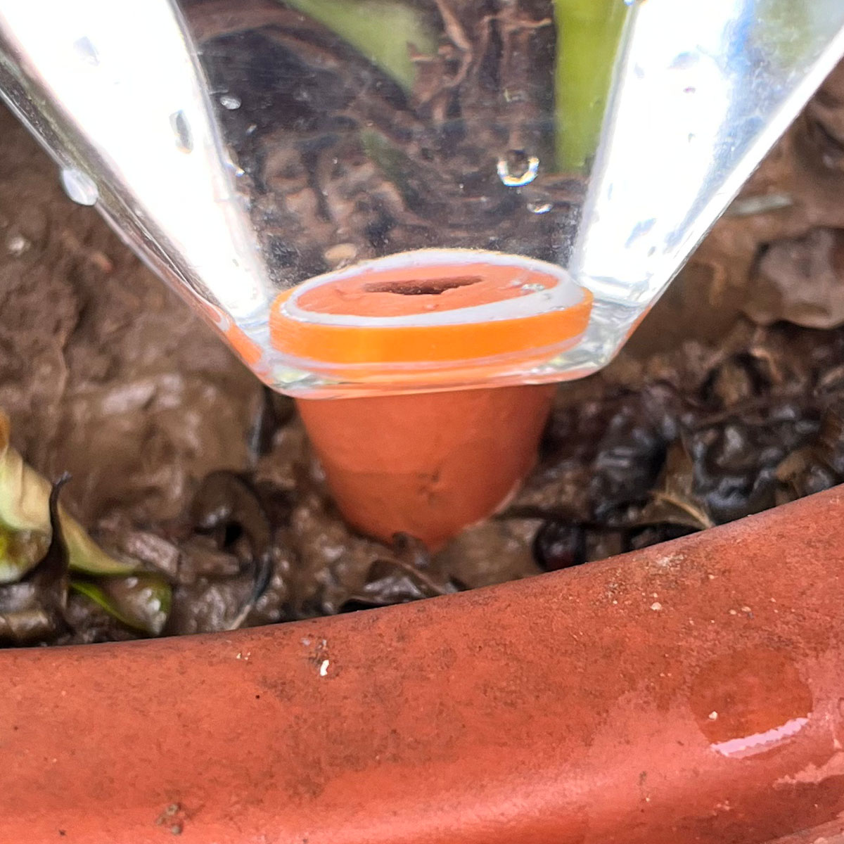1pcs Cute Plastic Watering Mac - đánh giá và giá Automatic Plant Waterer