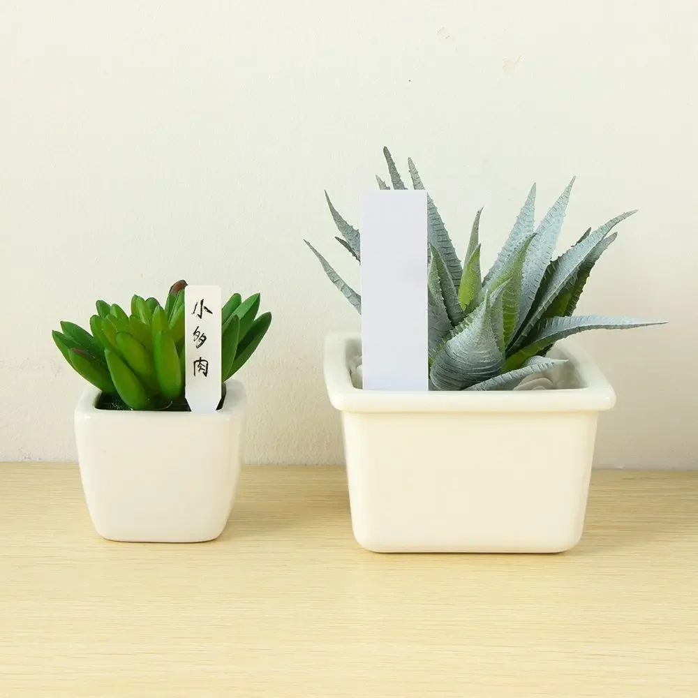 100Pcs Reusable Classification - đánh giá và giá Plant Label Tags