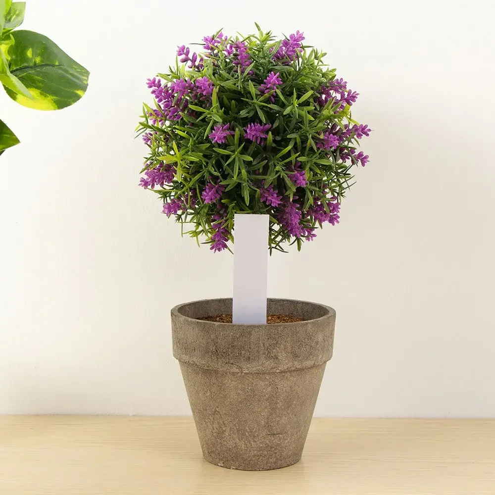 100Pcs Reusable Classification - đánh giá và giá Plant Label Tags