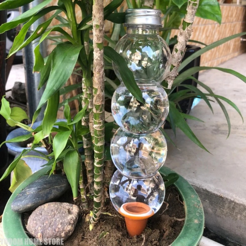 1Pc Creative Automatic Plant W - đánh giá và giá Automatic Plant Waterer