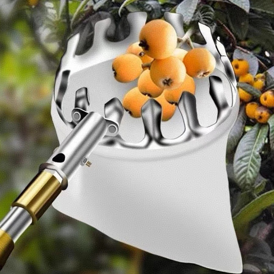 Professional Berry Picker Tool - đánh giá và giá Gardening Tools Rack