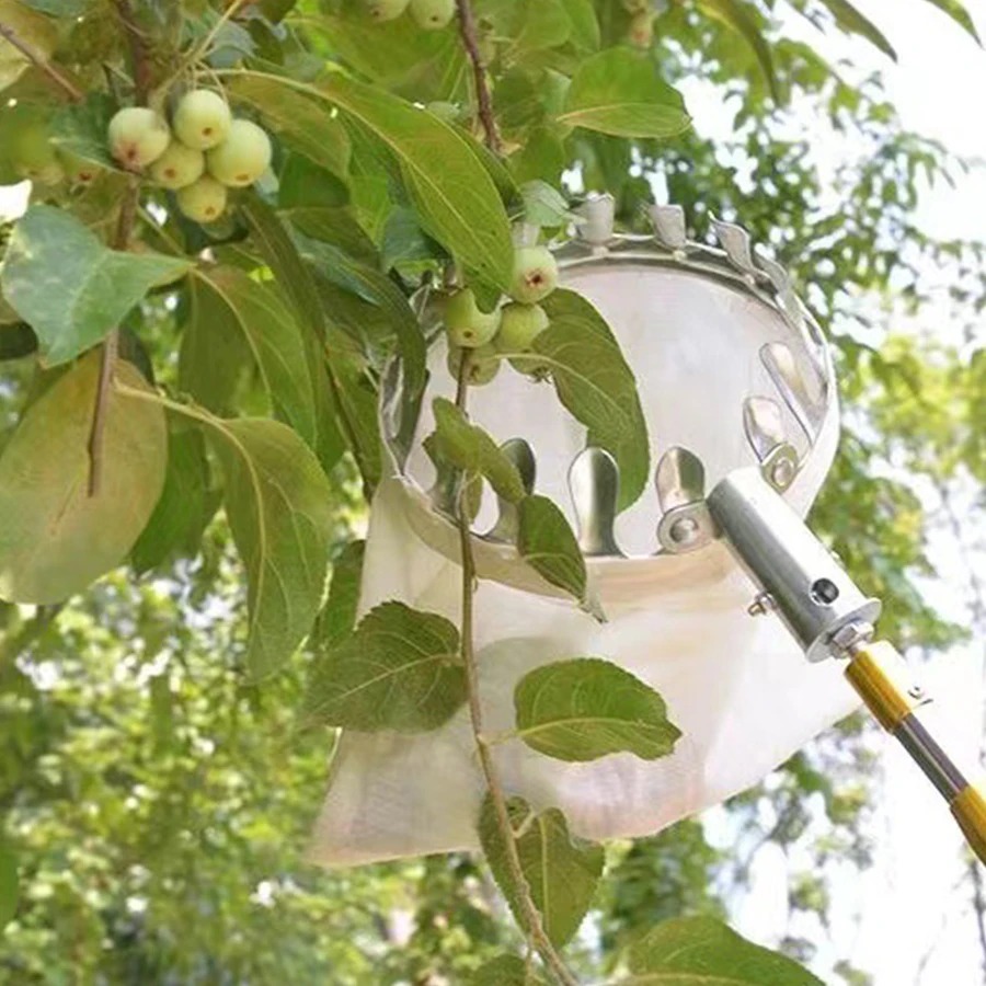 Professional Berry Picker Tool - đánh giá và giá Gardening Tools Rack