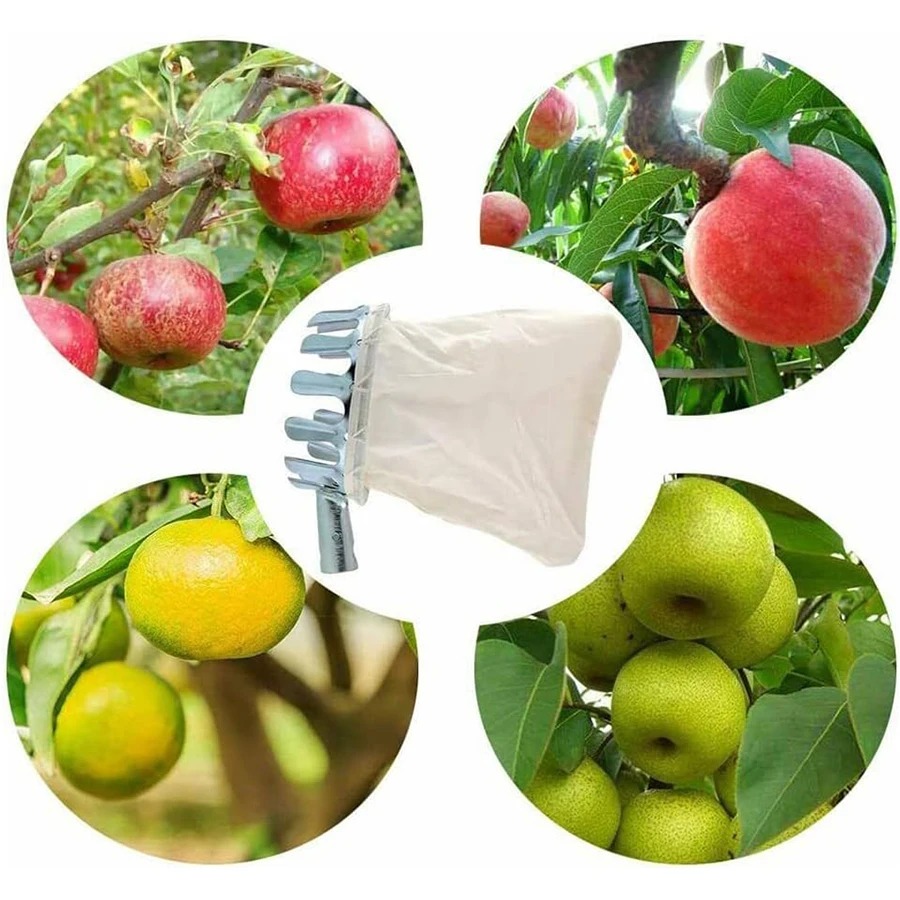 Professional Berry Picker Tool - đánh giá và giá Gardening Tools Rack