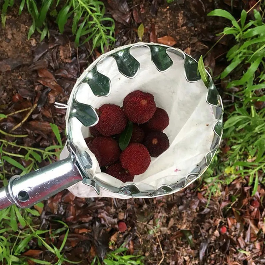 Professional Berry Picker Tool - đánh giá và giá Gardening Tools Rack