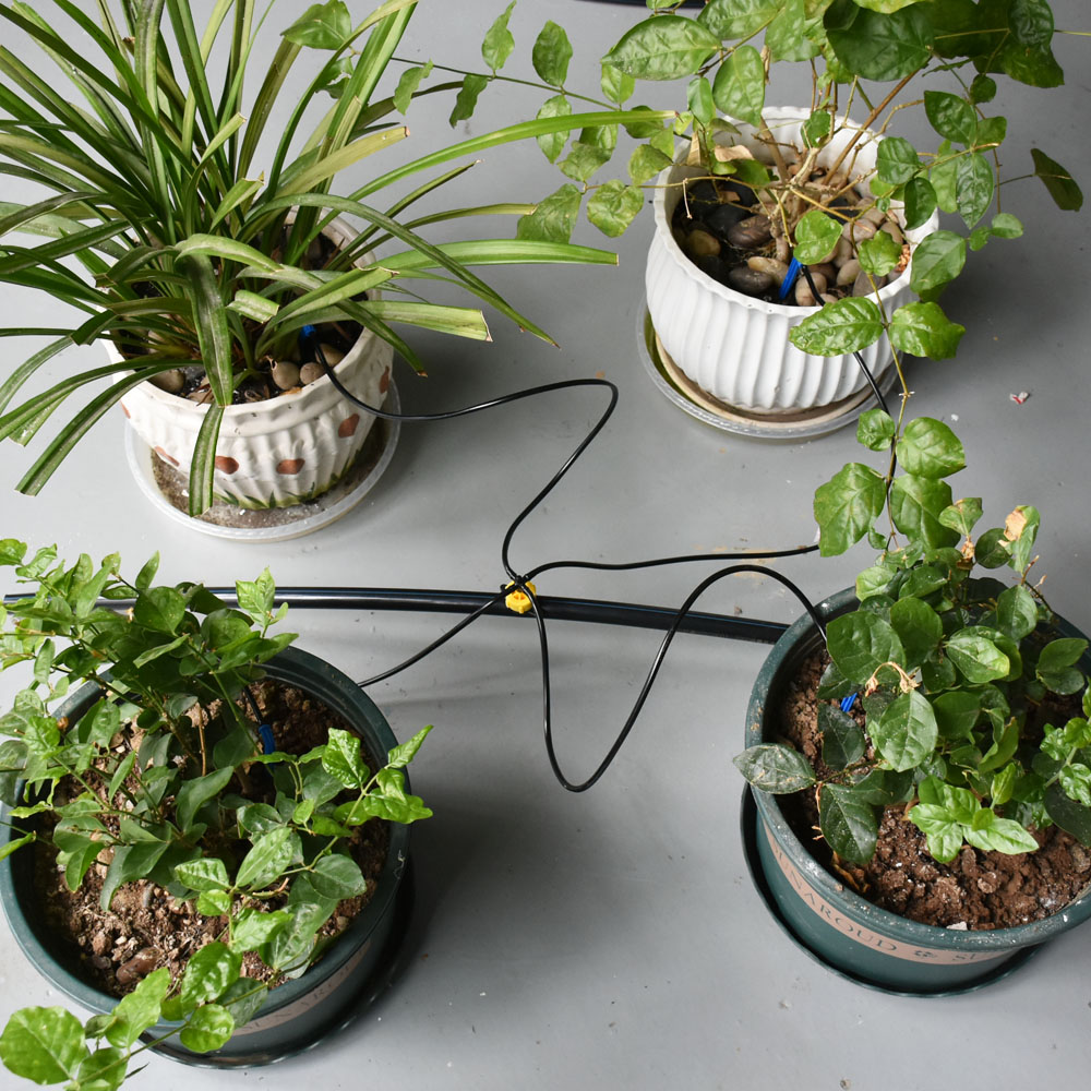 2L 4L 8L Micro Lưu Lượng Dripp - đánh giá và giá Root Watering Spike