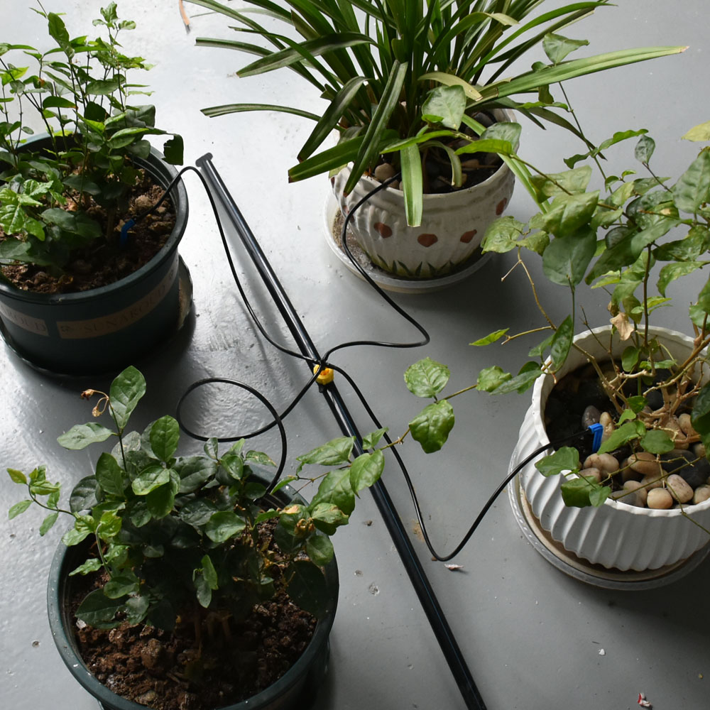 2L 4L 8L Micro Lưu Lượng Dripp - đánh giá và giá Root Watering Spike
