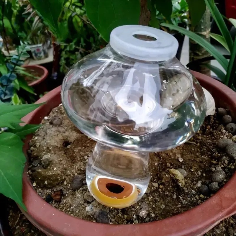 Automatic Plant Waterer Water  - đánh giá và giá Automatic Plant Waterer