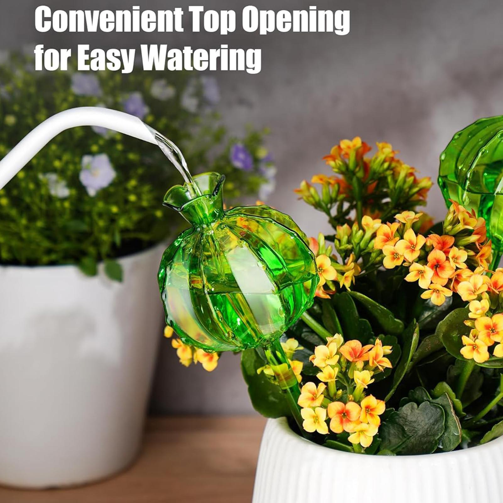 Plant Watering Globes Stakes 3 - đánh giá và giá Automatic Plant Waterer